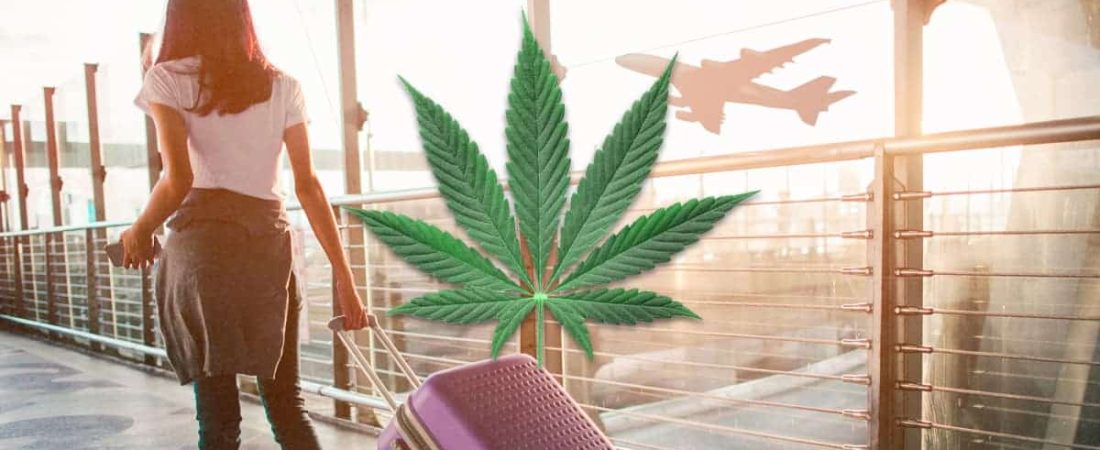 cannabis aeropuerto