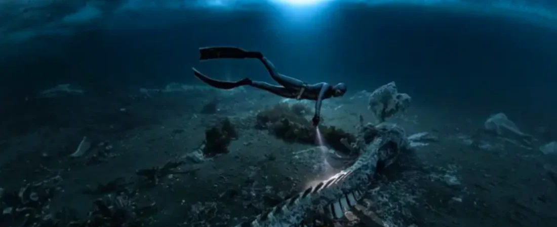 captura_de_pantalla_2026-03-17_a_la-s-_08-48-22.png_435293619