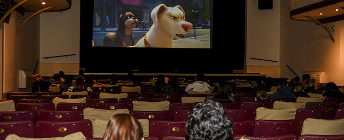 cine-para-perros-sudamérica-1