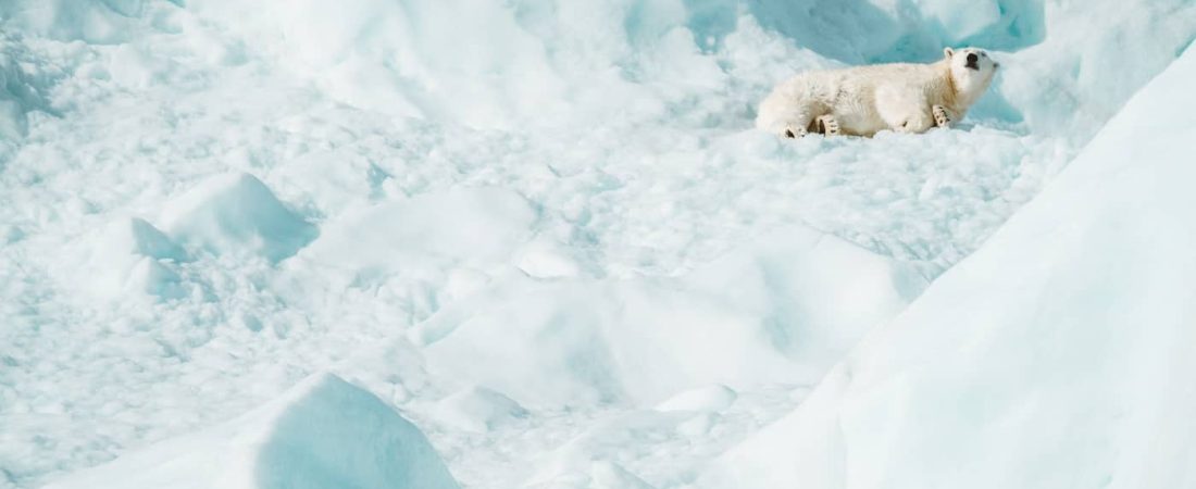 El Círculo Ártico alcanzó los 48°C en el primer día del verano boreal