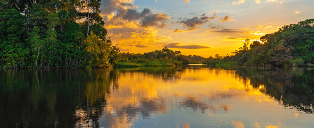 amazonas brasileño