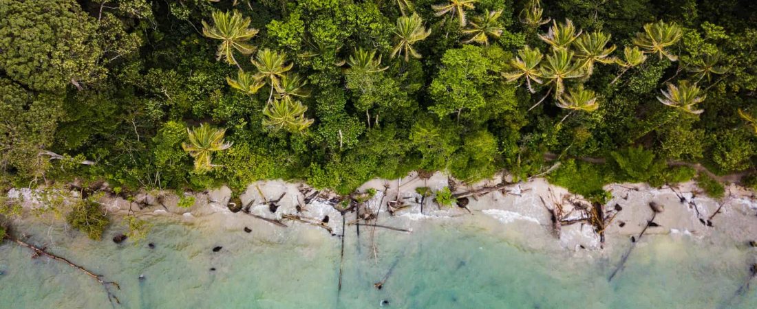 Costa Rica propone a sus turistas disminuir su huella de carbono y contribuir con la economía verde