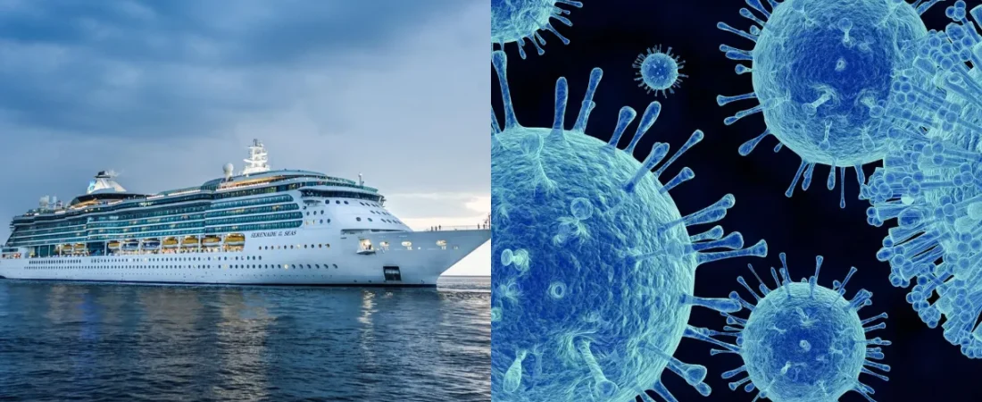 crucero.png_554688467