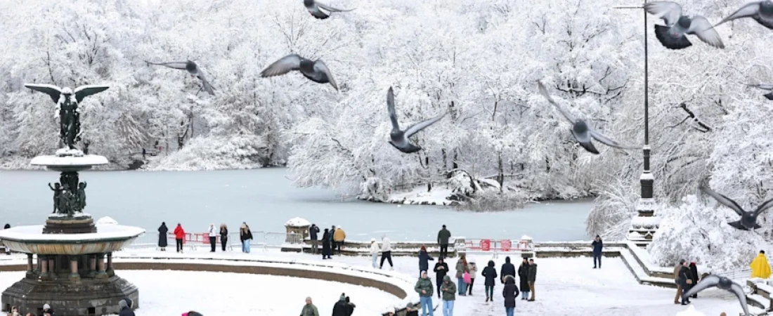 d33bba6ade78e354f49138f798a3983c