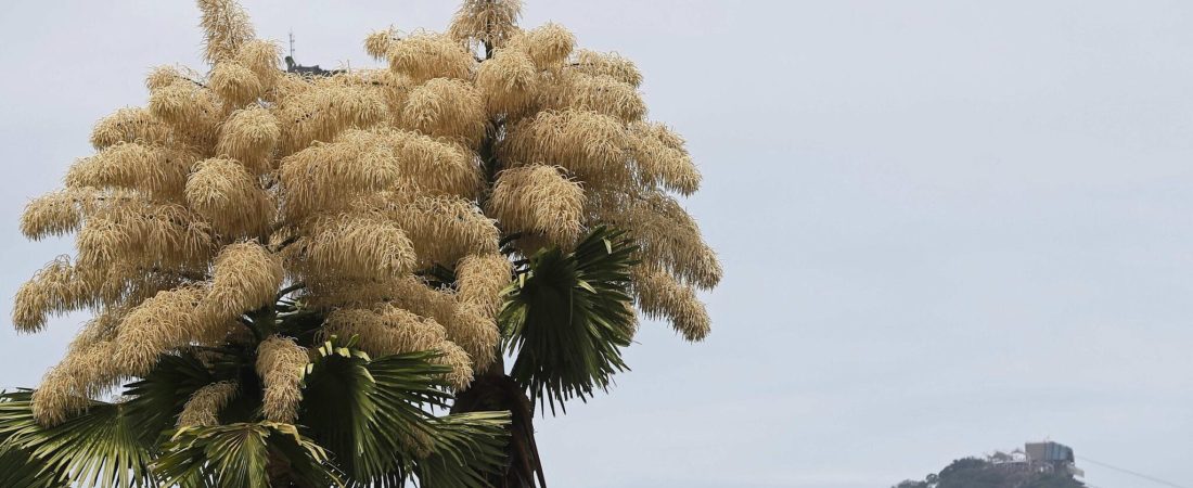 d9007fe8ff7c0d861897c3f1c8c51e4b