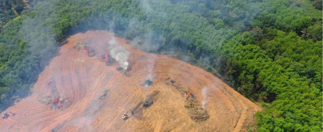 Por segundo mes consecutivo aumenta la deforestación de la selva amazónica