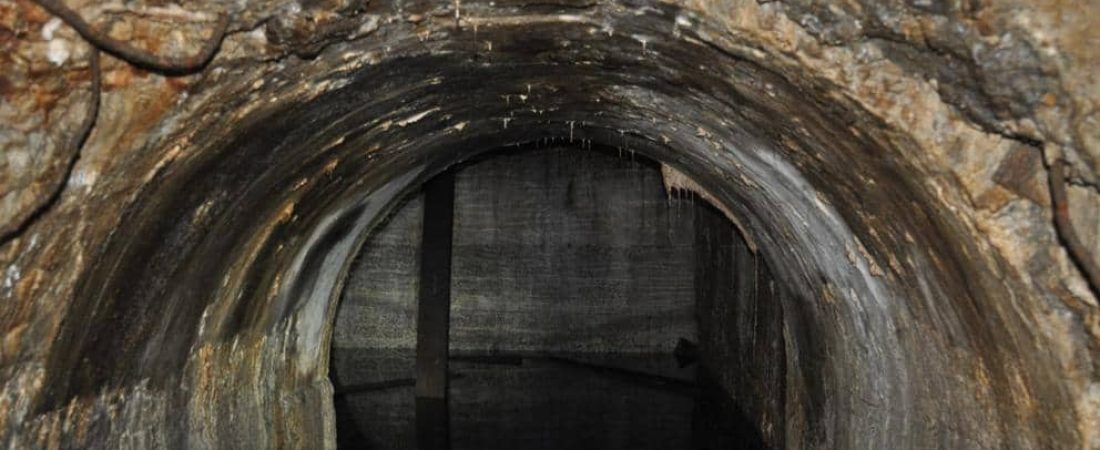 Servei d'Arqueologia de l'Ajuntament de Barcelona