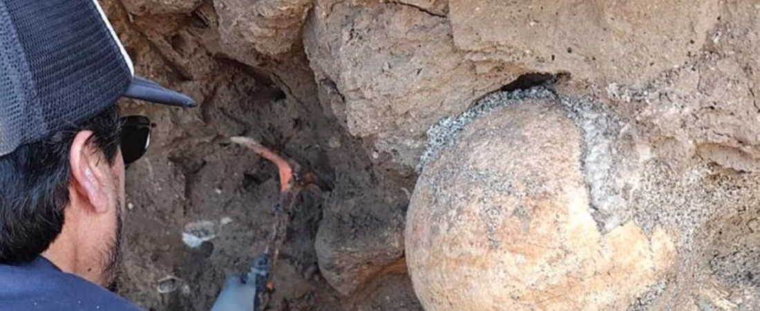 descubren-en-santa-clara-del-mar-los-restos-B62ZVI7UU5DWJM5BDXSXYJQFGE