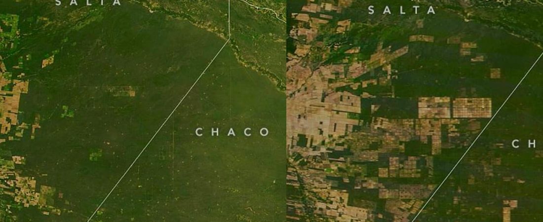 desmontes en chaco nasa