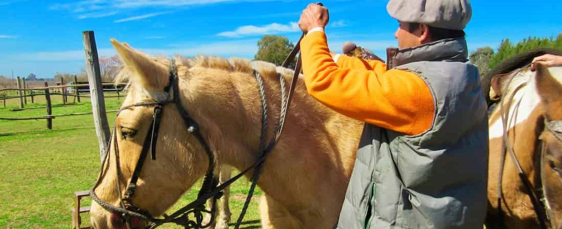 Día de Campo en Buenos Aires