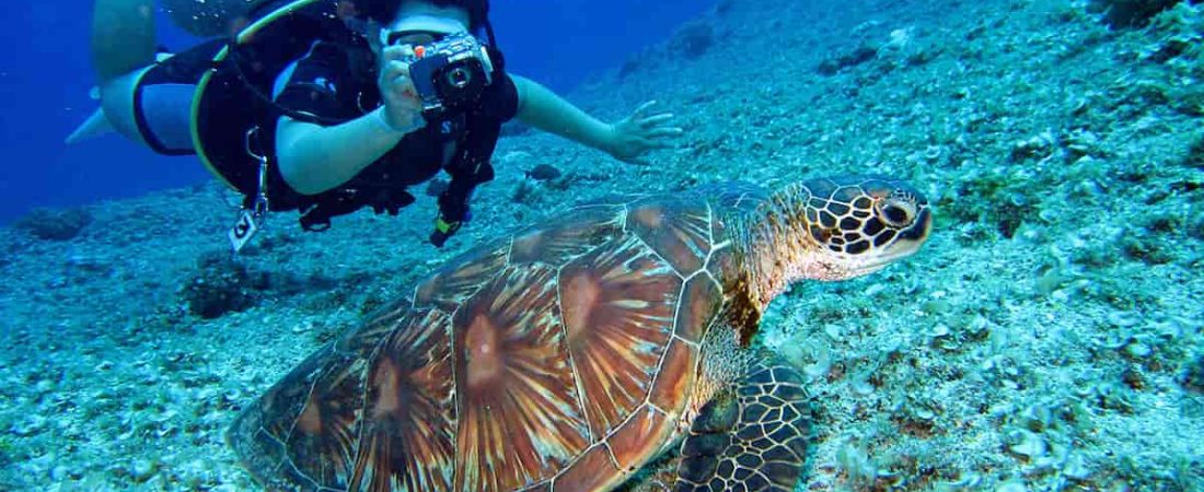 Diving in Japan