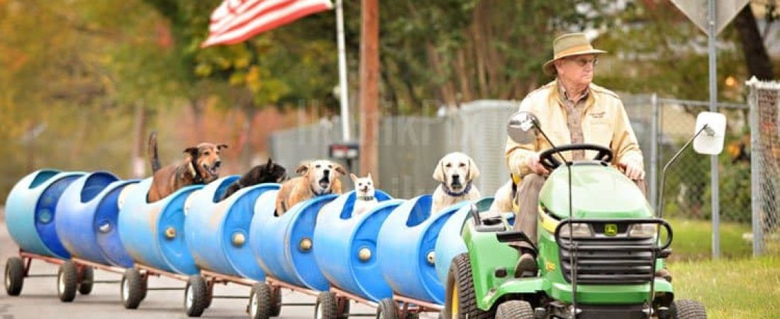 dog-train-1