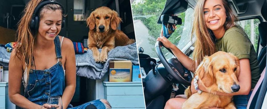 dog_and_woman_in_van_