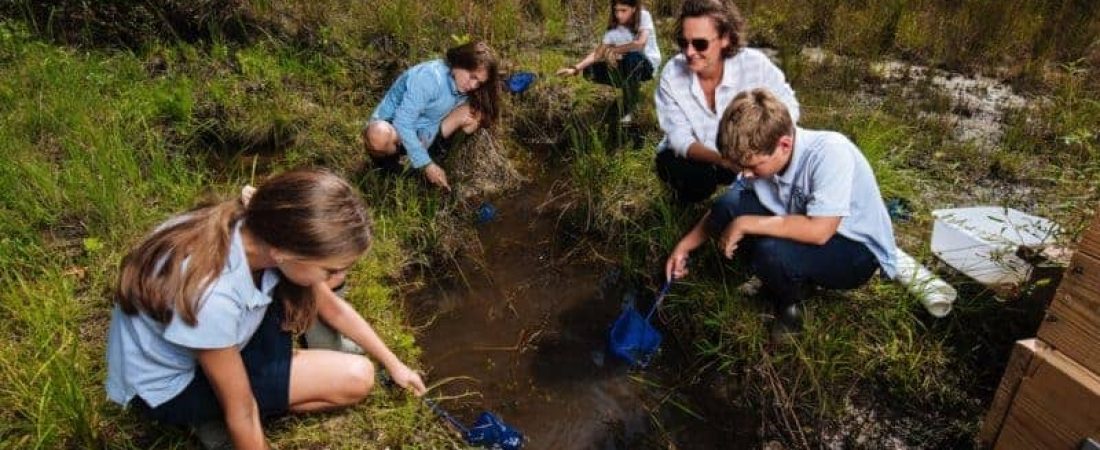 educacion ambiental argentina