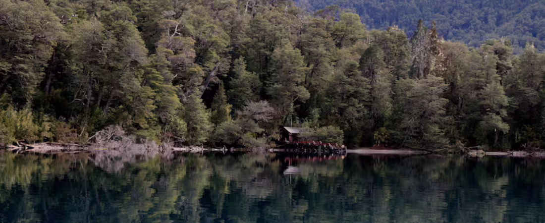 el-alerce-el-abuelo-tiene-2600-anos-y-es-uno-de-ZDZ4XP7MHBA4BC6WBDK4GA35JI