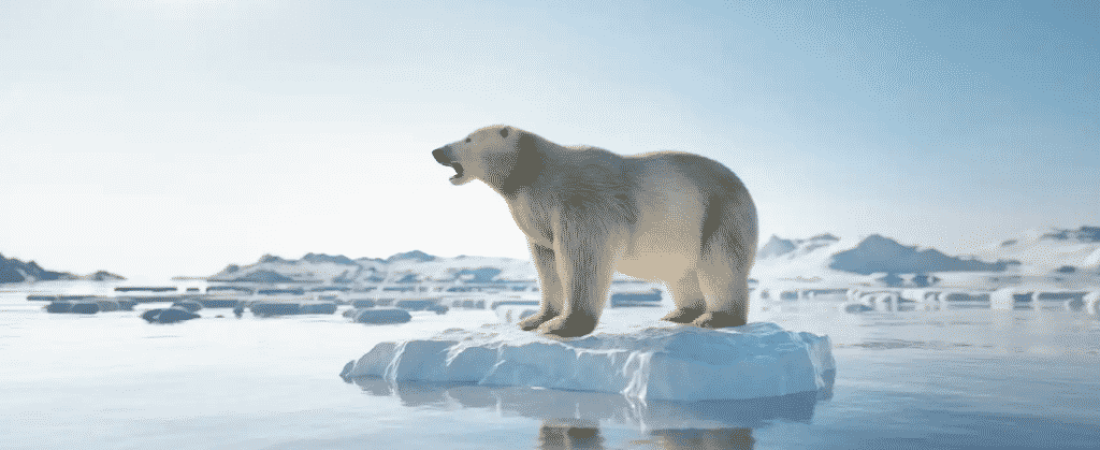 el-hielo-marino-del-invierno-Ártico-del-2022-bajo