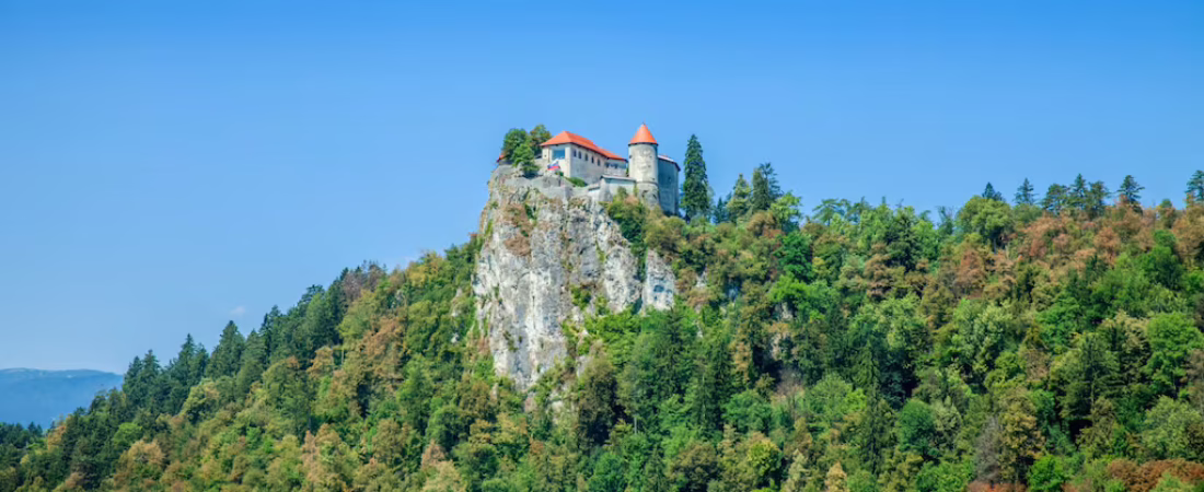 el-increible-hallazgo-valuado-en-300000-dolares-ocurrio-en-el-parque-nacional-krkonose-en-republica-checa-foto-ilustrativafreepik-D3NAQE3UUZAQDMAPXG7L2AKE64