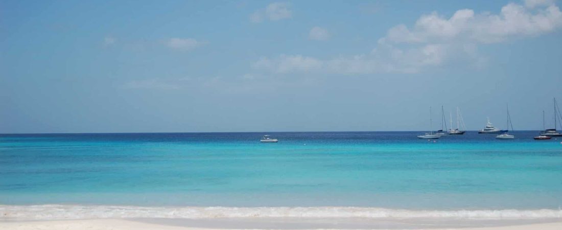 elly-h-akKnQfq6bks-unsplash