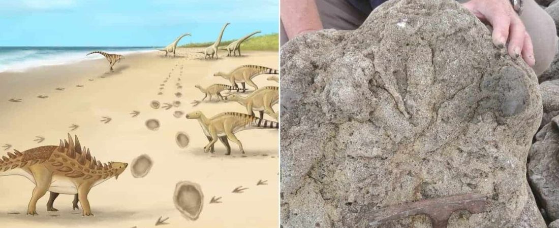 En Inglaterra encontraron las huellas fosilizadas de los últimos dinosaurios que caminaron por allí