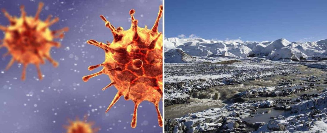 Un grupo de científicos descubrieron virus de hace 15.000 en glaciares de Tíbet