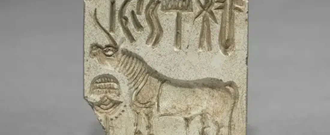escritura-del-indo