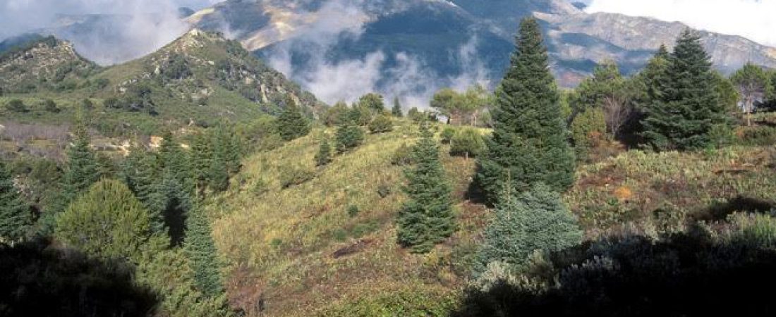 españa nuevo parque nacional 1