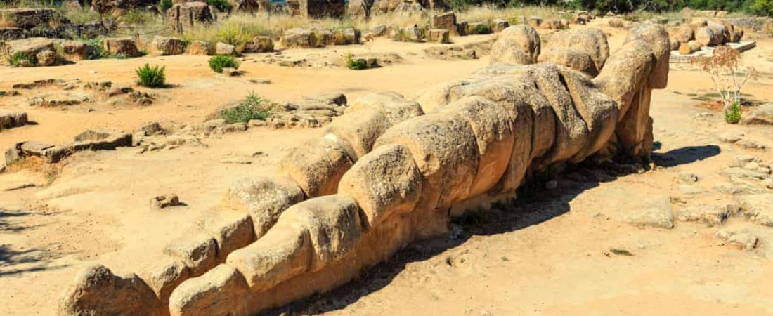 Foto: Yuriy Brykaylo/Alamy