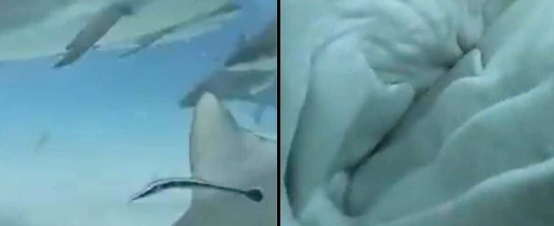 f.elconfidencial.com_original_38f_8ff_9b4_38f8ff9b47240ffb0777b9dff714b6b8