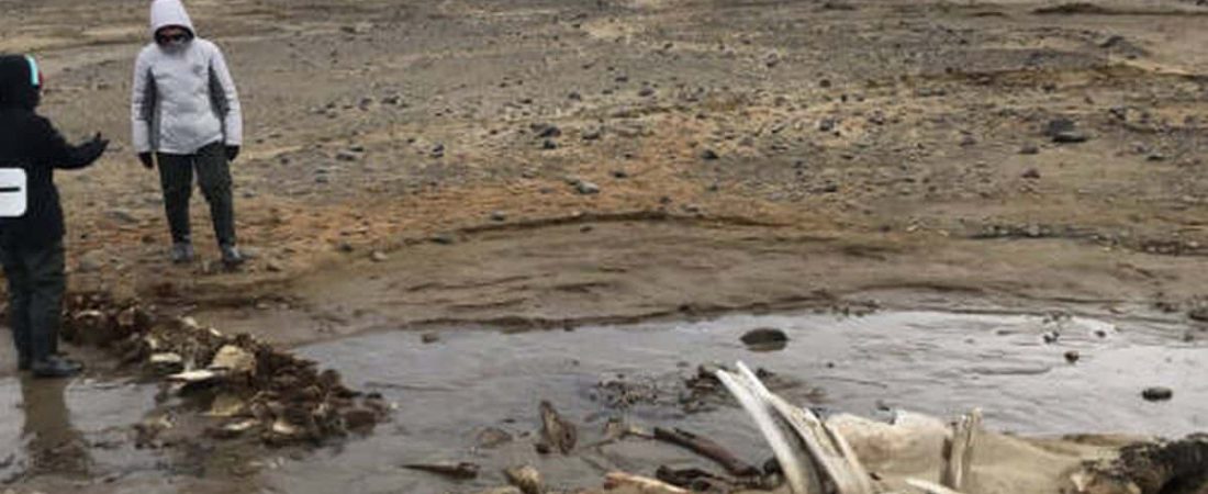 f.elconfidencial.com_original_46d_103_de6_46d103de616368202c935c783c24f00d