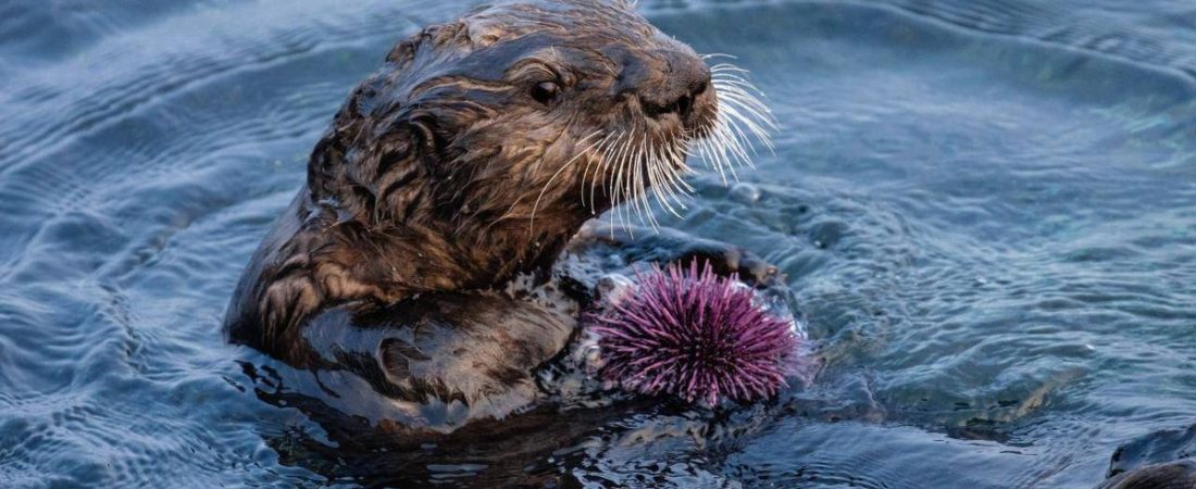 f.elconfidencial.com_original_dcb_9de_fc9_dcb9defc9fc6101f3f2d313f82221ad2