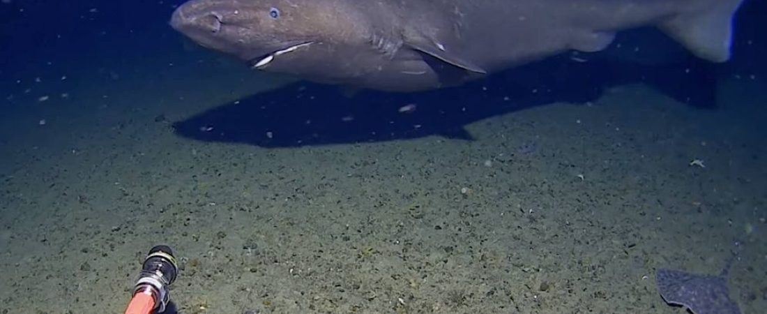 f.elconfidencial.com_original_eb1_dbe_db5_eb1dbedb50bc563e93eb73ca2ef79993