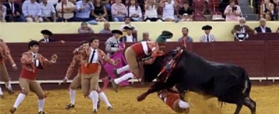 f425x230-123787_137769_5050