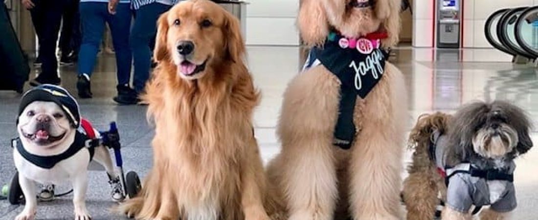 fotonoticia_20200224151325_640