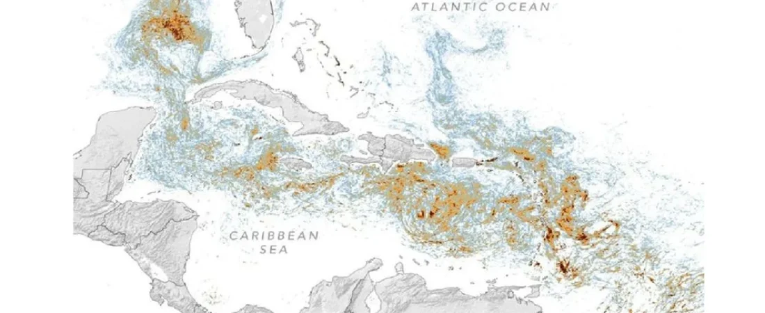 gigantesca-marea-marron-que-se-dirige-hacia-el-caribe-y-florida-imagenes-de-la-nasa-detectan-la-invasion-de-sargazo-1785403916626_1024