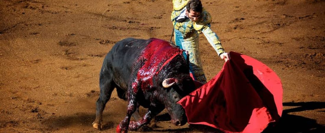 gijon-suspende-corridas-de-toros (1)