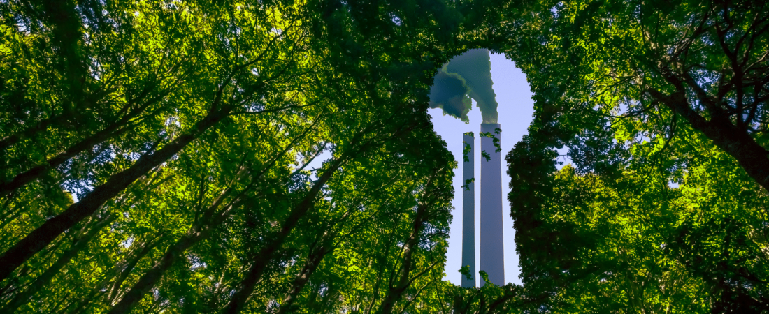 greenwashing