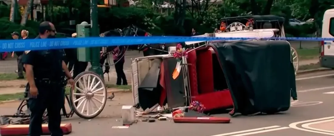 gritaba-mama-padre-joven-muerto-central-park-relata-tragedia