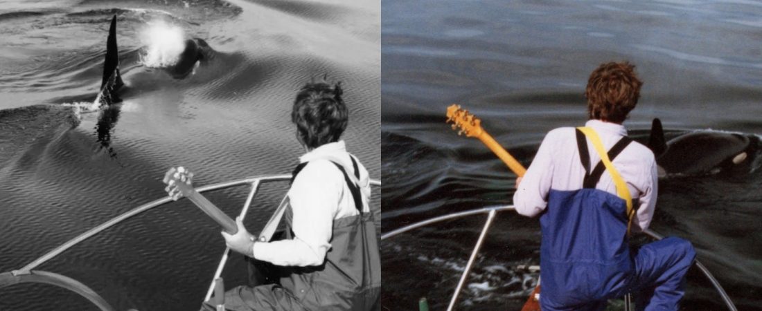 guitarra orcas (2)