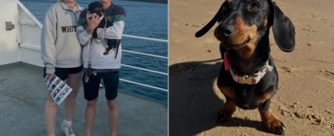 hEoqHFSZ7_1200x630__1