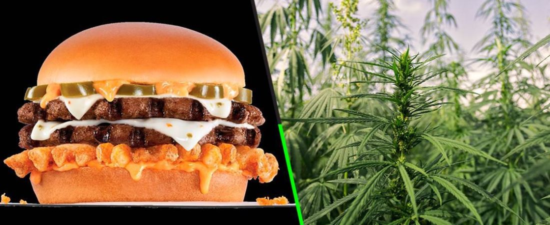 hamburguesa-cannabis