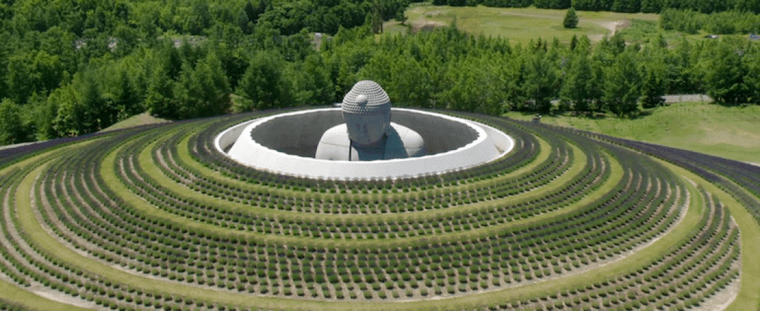 hill-of-the-buddha-tadao-ando-1