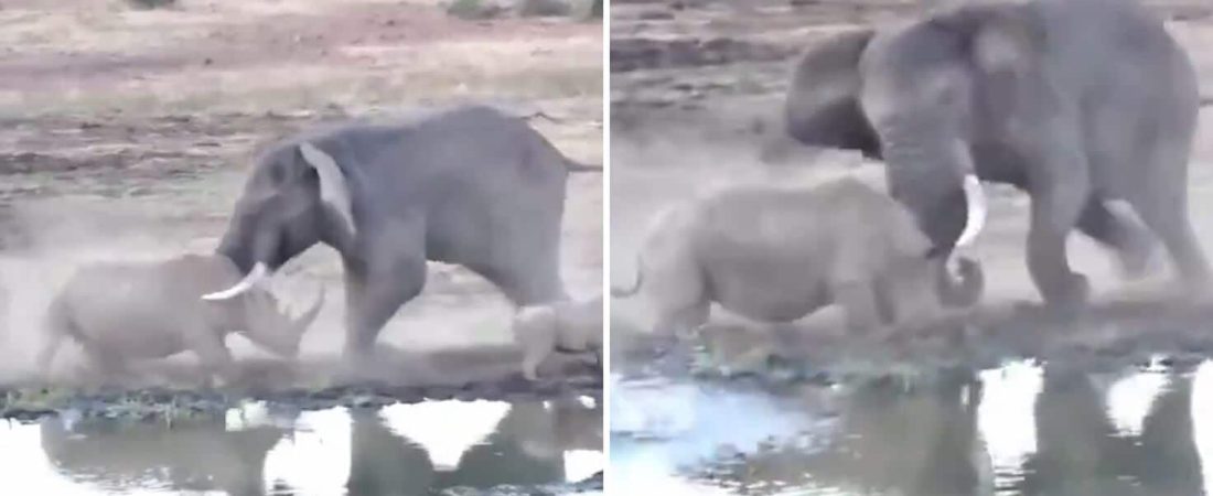 https___cloudfront-eu-central-1.images.arcpublishing.com_diarioas_MZDJPGPBI5ASVK5Y5KHPJ6BBQE