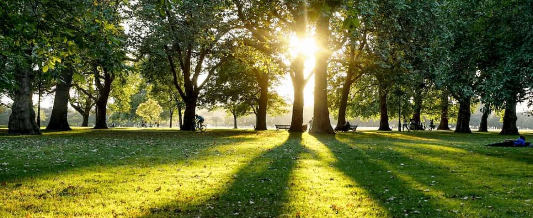 Guía definitiva para Visitar el Hyde Park en Londres