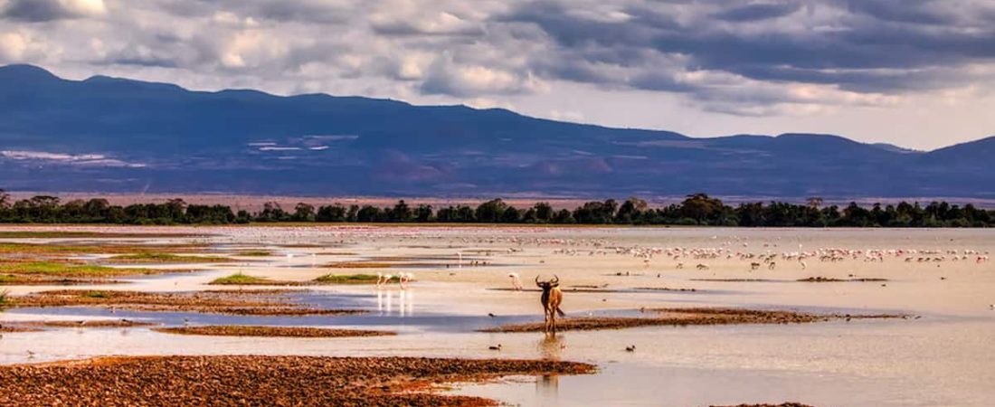 Lugares de Kenia