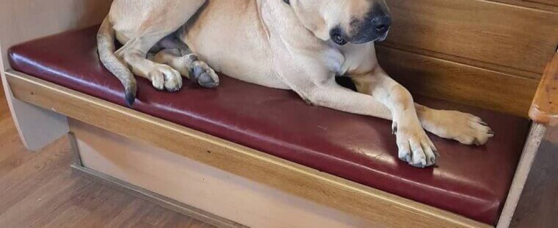 image-eY2WeYZzzaYBUvsh