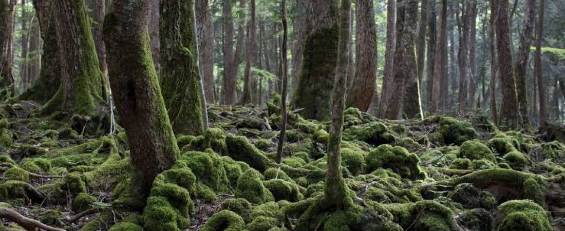 images (30)