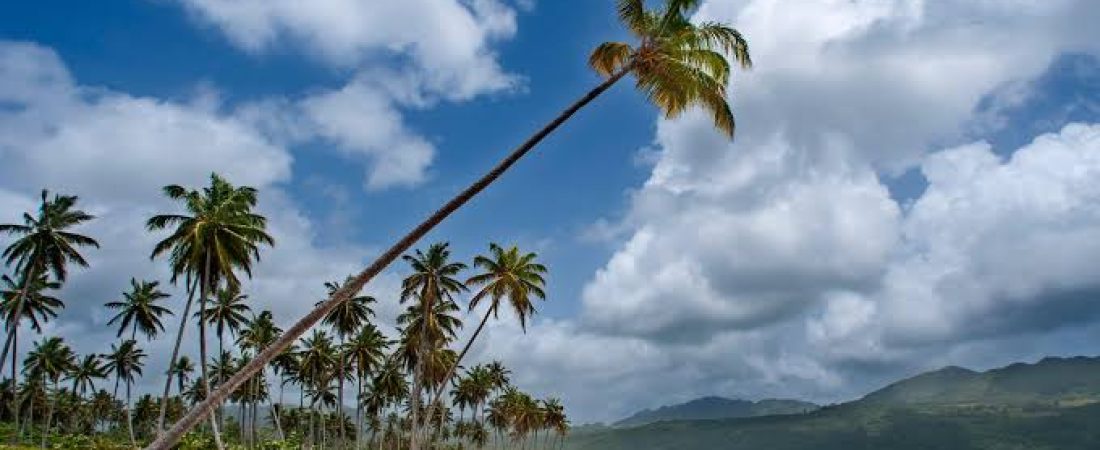 images (37)