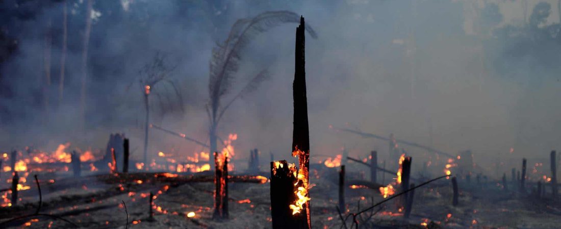 incendio en amazonas