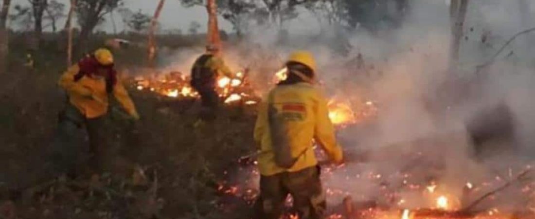 Página 12 / Los bomberos combaten el incendio forestal en la zona de Chiquitania