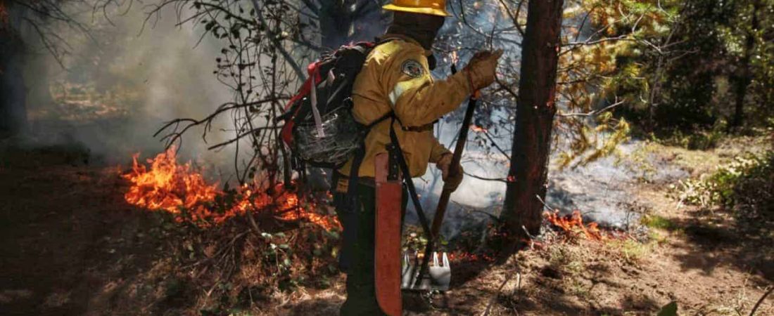 El incendio en Cuesta del Ternero, cerca de El Bolsón, continúa activo y avanza cada vez más